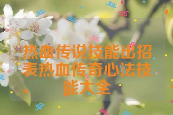 热血传说技能出招表热血传奇心法技能大全