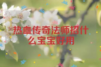 热血传奇法师招什么宝宝好用