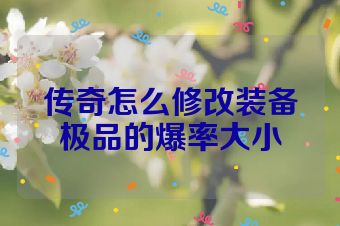 传奇怎么修改装备极品的爆率大小