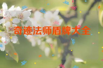 奇迹法师盾牌大全