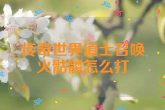 传奇世界道士召唤火骷髅怎么打
