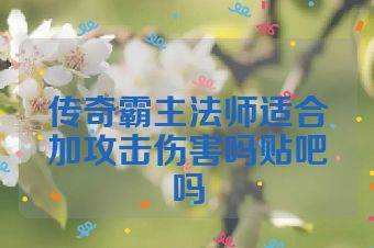 传奇霸主法师适合加攻击伤害吗贴吧吗