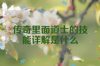 传奇里面道士的技能详解是什么