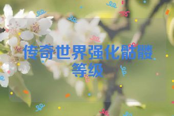 传奇世界强化骷髅等级