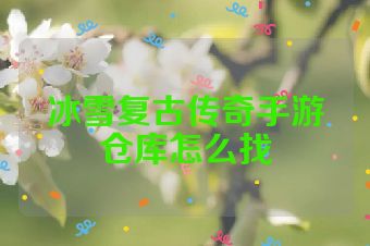 冰雪复古传奇手游仓库怎么找
