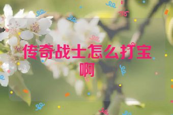 传奇战士怎么打宝啊