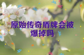 原始传奇盾牌会被爆掉吗
