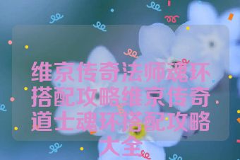 维京传奇法师魂环搭配攻略维京传奇道士魂环搭配攻略大全