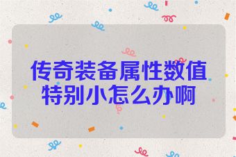 传奇装备属性数值特别小怎么办啊