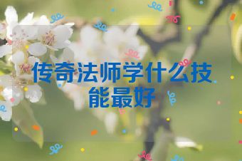 传奇法师学什么技能最好