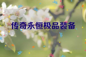 传奇永恒极品装备