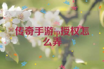 传奇手游ip授权怎么弄