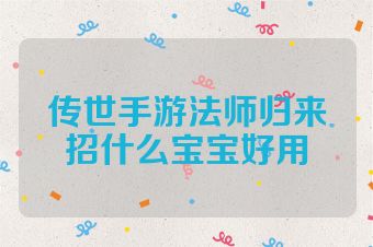 传世手游法师归来招什么宝宝好用