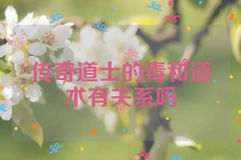 传奇道士的毒和道术有关系吗