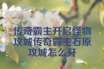 传奇霸主开启怪物攻城传奇霸主石原攻城怎么开