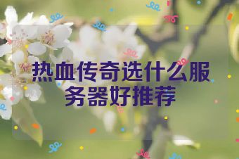 热血传奇选什么服务器好推荐