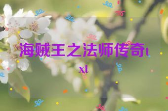 海贼王之法师传奇txt