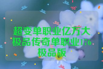 超变单职业亿万大极品传奇单职业176极品版