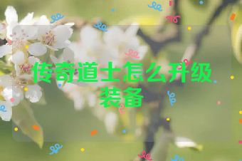 传奇道士怎么升级装备