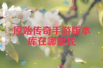 原始传奇手游版本库在哪里找