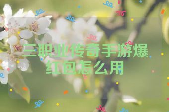 三职业传奇手游爆红包怎么用