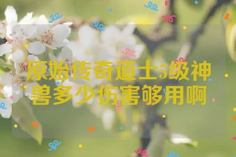 原始传奇道士5级神兽多少伤害够用啊