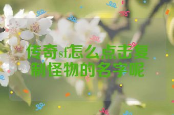 传奇sf怎么点击复制怪物的名字呢