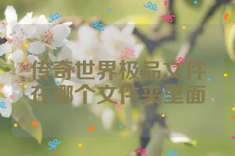 传奇世界极品文件在哪个文件夹里面