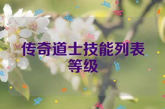传奇道士技能列表等级