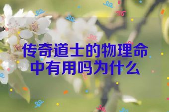 传奇道士的物理命中有用吗为什么