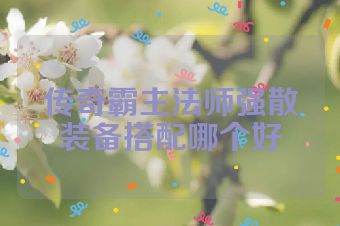 传奇霸主法师强散装备搭配哪个好