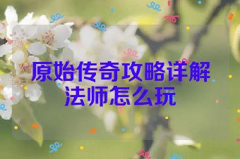 原始传奇攻略详解法师怎么玩