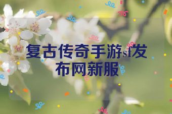 复古传奇手游sf发布网新服