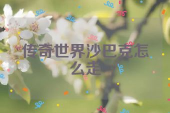 传奇世界沙巴克怎么走