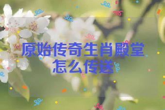 原始传奇生肖殿堂怎么传送