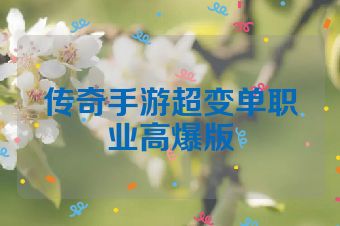 传奇手游超变单职业高爆版