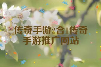 传奇手游2合1传奇手游推广网站