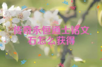 传奇永恒道士铭文石怎么获得