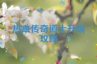 热血传奇道士升级攻略