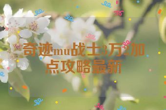 奇迹mu战士3万2加点攻略最新