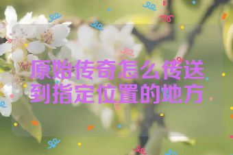 原始传奇怎么传送到指定位置的地方