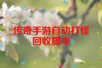 传奇手游自动打怪回收脚本