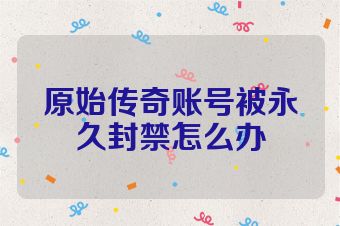 原始传奇账号被永久封禁怎么办