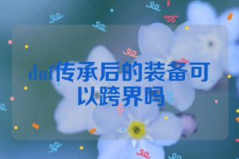 dnf传承后的装备可以跨界吗
