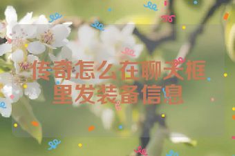 传奇怎么在聊天框里发装备信息
