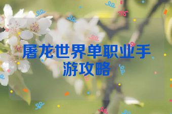 屠龙世界单职业手游攻略