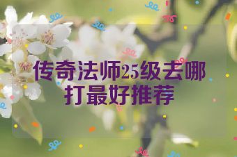 传奇法师25级去哪打最好推荐