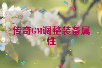 传奇GM调整装备属性