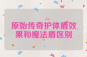 原始传奇护体盾效果和魔法盾区别
