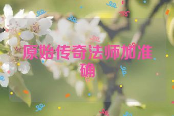 原始传奇法师加准确